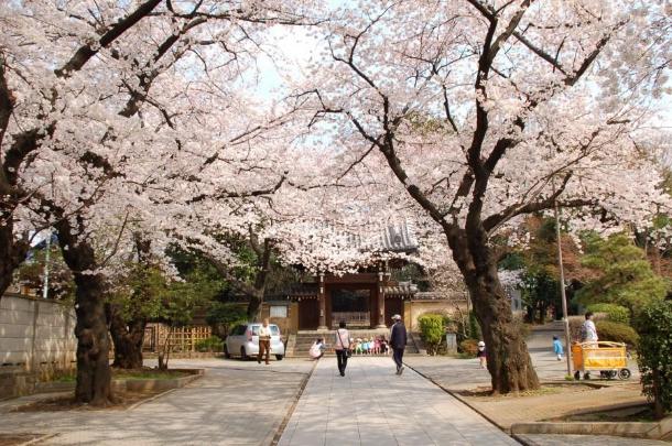 Thumbnail image for OTT Ikebukuro