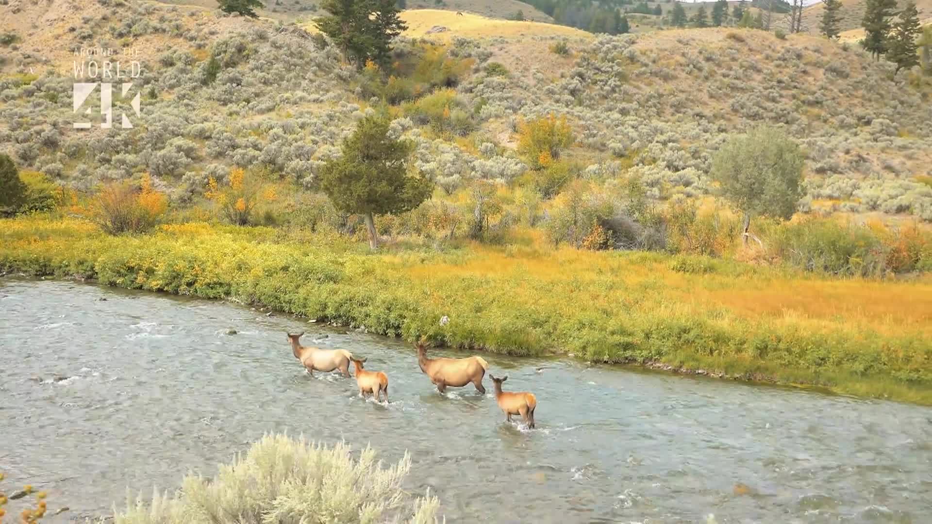 Thumbnail image for Best of USA